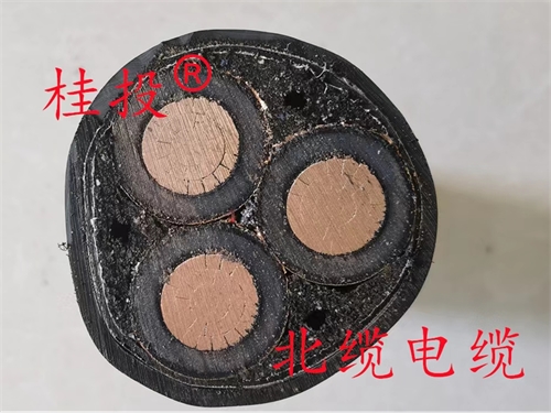 电力电缆和节制电缆有什么区别